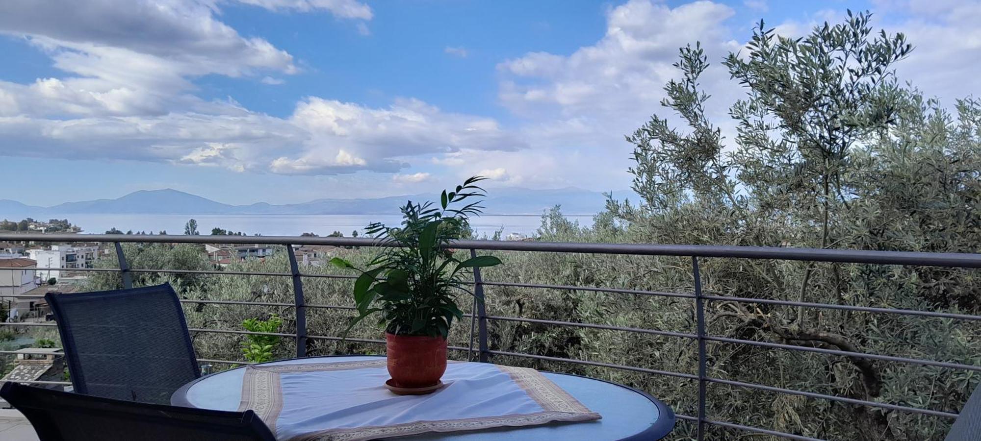 View House Villa Agriá Kültér fotó